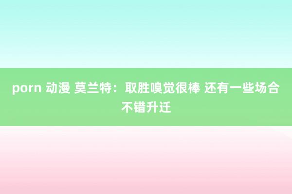 porn 动漫 莫兰特：取胜嗅觉很棒 还有一些场合不错升迁