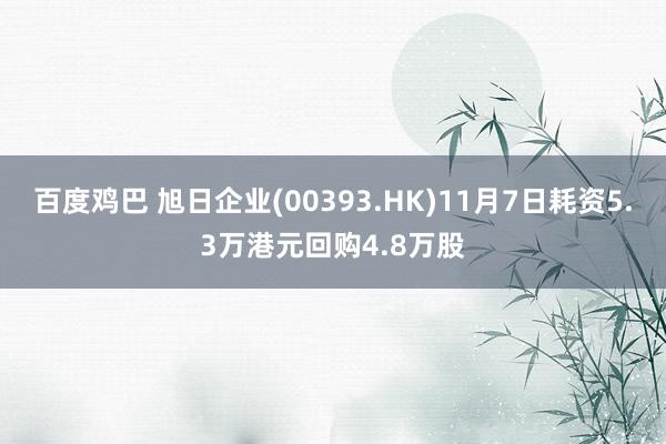 百度鸡巴 旭日企业(00393.HK)11月7日耗资5.3万港元回购4.8万股