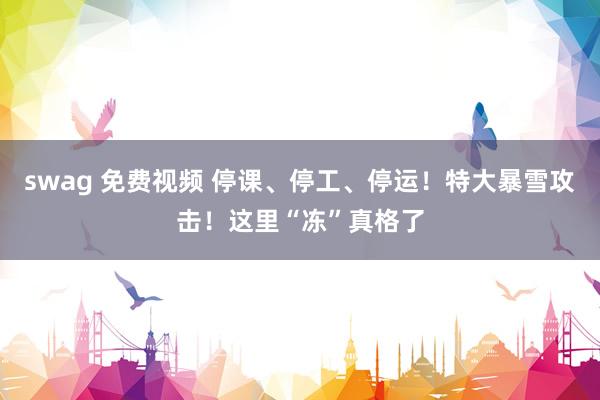 swag 免费视频 停课、停工、停运！特大暴雪攻击！这里“冻”真格了