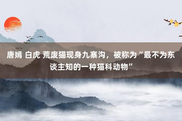唐嫣 白虎 荒废猫现身九寨沟，被称为“最不为东谈主知的一种猫科动物”