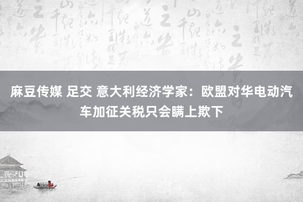 麻豆传媒 足交 意大利经济学家：欧盟对华电动汽车加征关税只会瞒上欺下