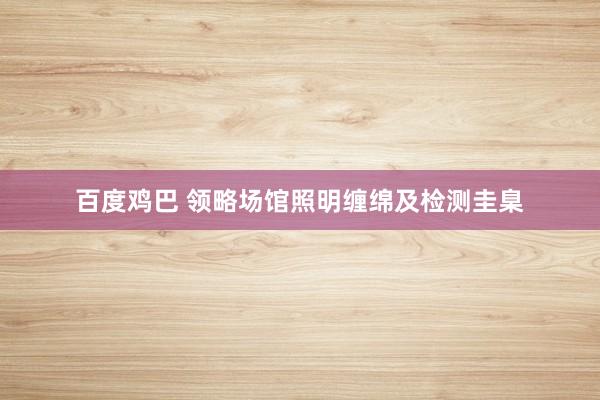百度鸡巴 领略场馆照明缠绵及检测圭臬