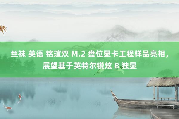 丝袜 英语 铭瑄双 M.2 盘位显卡工程样品亮相，展望基于英特尔锐炫 B 独显