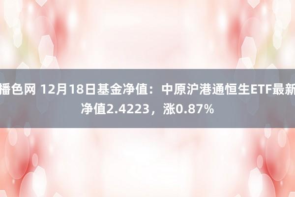 播色网 12月18日基金净值：中原沪港通恒生ETF最新净值2.4223，涨0.87%