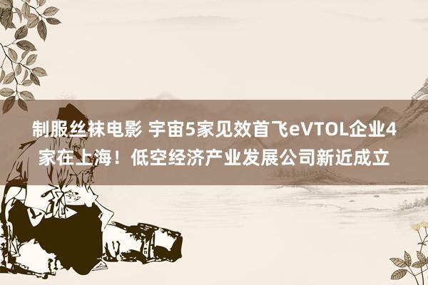 制服丝袜电影 宇宙5家见效首飞eVTOL企业4家在上海！低空经济产业发展公司新近成立