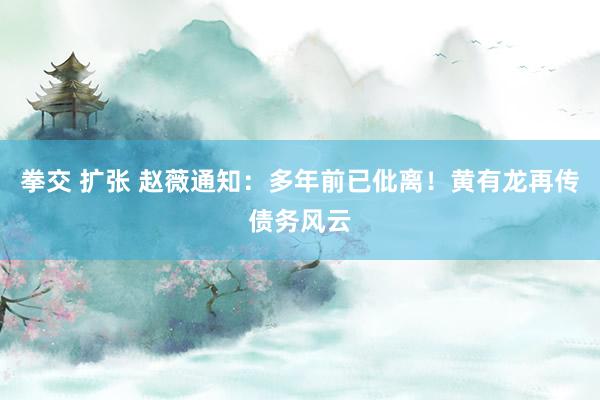 拳交 扩张 赵薇通知：多年前已仳离！黄有龙再传债务风云