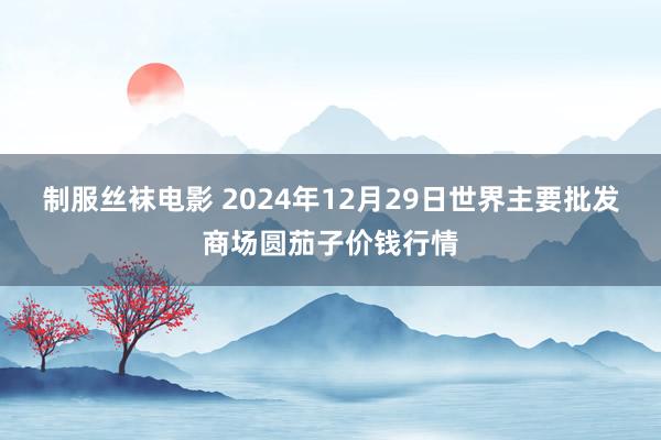 制服丝袜电影 2024年12月29日世界主要批发商场圆茄子价钱行情