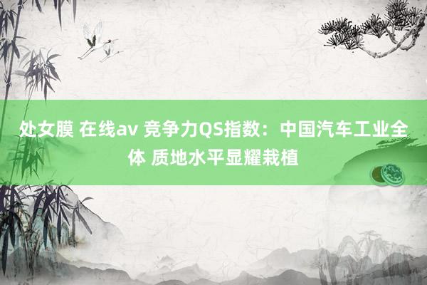 处女膜 在线av 竞争力QS指数：中国汽车工业全体 质地水平显耀栽植