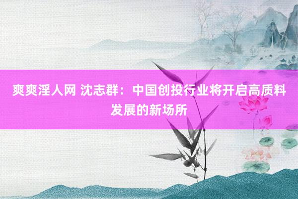 爽爽淫人网 沈志群：中国创投行业将开启高质料发展的新场所