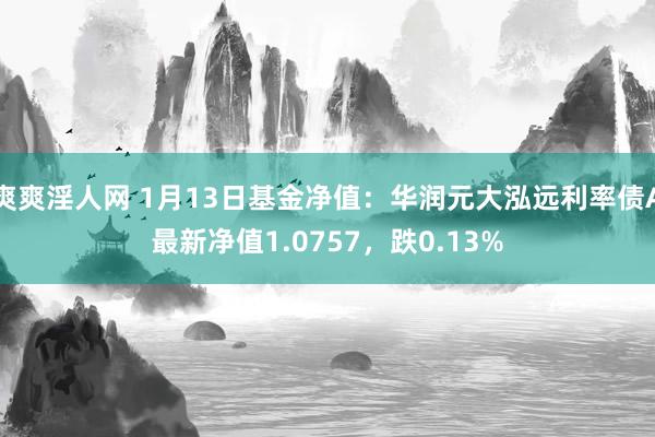 爽爽淫人网 1月13日基金净值：华润元大泓远利率债A最新净值1.0757，跌0.13%