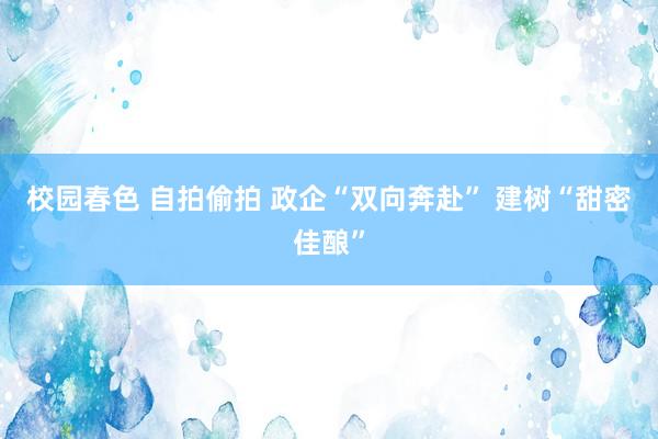 校园春色 自拍偷拍 政企“双向奔赴” 建树“甜密佳酿”