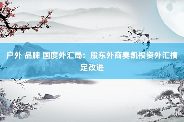 户外 品牌 国度外汇局：股东外商奏凯投资外汇搞定改进