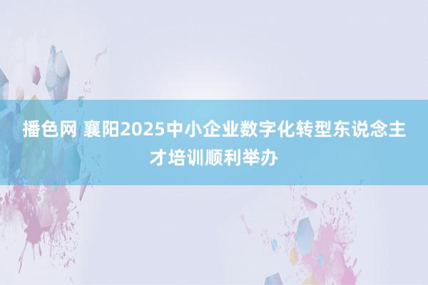 播色网 襄阳2025中小企业数字化转型东说念主才培训顺利举办