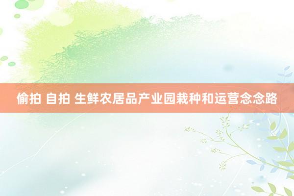 偷拍 自拍 生鲜农居品产业园栽种和运营念念路