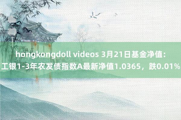 hongkongdoll videos 3月21日基金净值：工银1-3年农发债指数A最新净值1.0365，跌0.01%