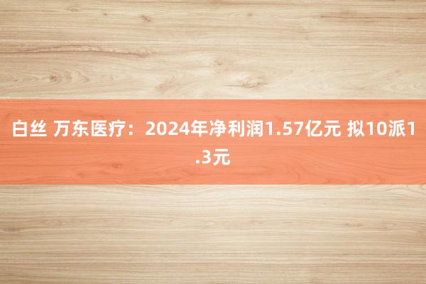 白丝 万东医疗：2024年净利润1.57亿元 拟10派1.3元