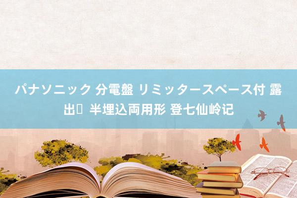 パナソニック 分電盤 リミッタースペース付 露出・半埋込両用形 登七仙岭记
