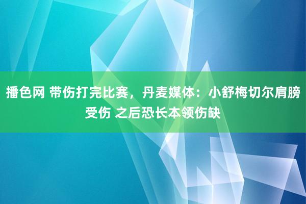 播色网 带伤打完比赛，丹麦媒体：小舒梅切尔肩膀受伤 之后恐长本领伤缺