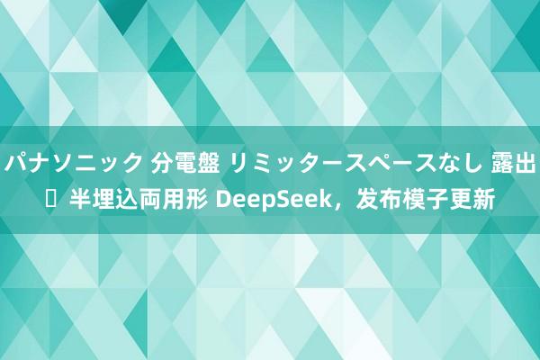 パナソニック 分電盤 リミッタースペースなし 露出・半埋込両用形 DeepSeek，发布模子更新