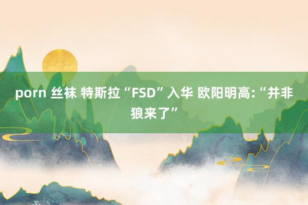 porn 丝袜 特斯拉“FSD”入华 欧阳明高:“并非狼来了”