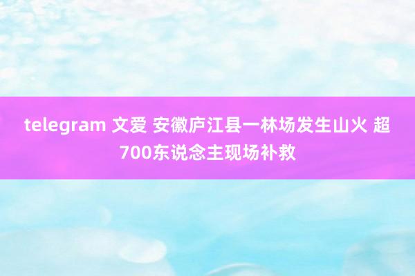 telegram 文爱 安徽庐江县一林场发生山火 超700东说念主现场补救