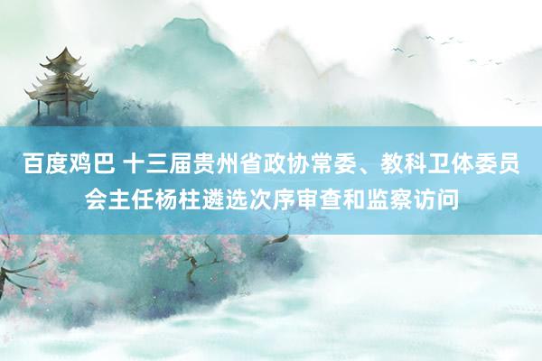 百度鸡巴 十三届贵州省政协常委、教科卫体委员会主任杨柱遴选次序审查和监察访问