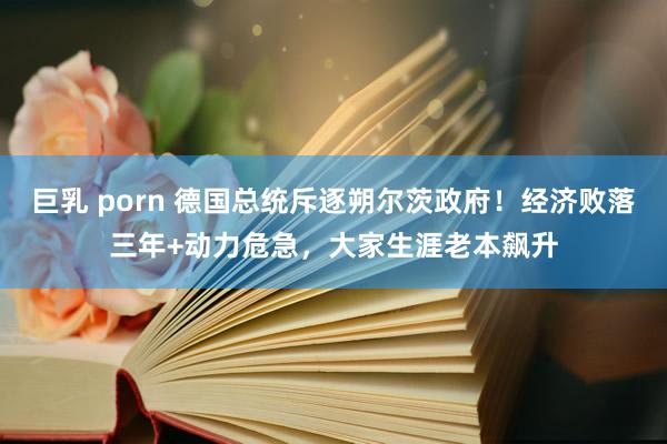 巨乳 porn 德国总统斥逐朔尔茨政府！经济败落三年+动力危急，大家生涯老本飙升