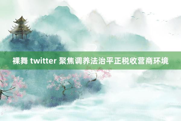 裸舞 twitter 聚焦调养法治平正税收营商环境