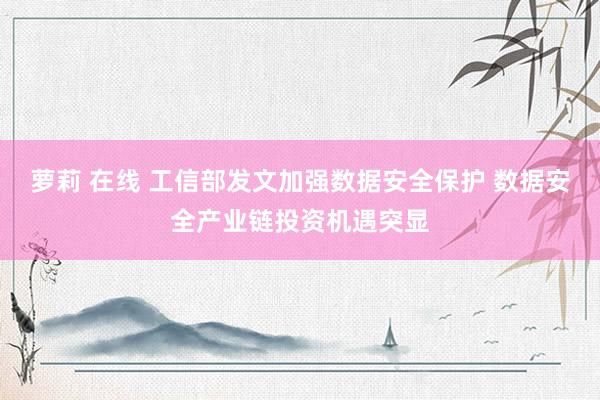 萝莉 在线 工信部发文加强数据安全保护 数据安全产业链投资机遇突显