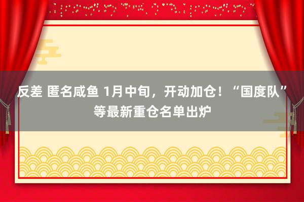 反差 匿名咸鱼 1月中旬，开动加仓！“国度队”等最新重仓名单出炉
