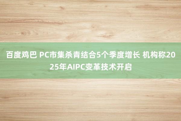 百度鸡巴 PC市集杀青结合5个季度增长 机构称2025年AIPC变革技术开启