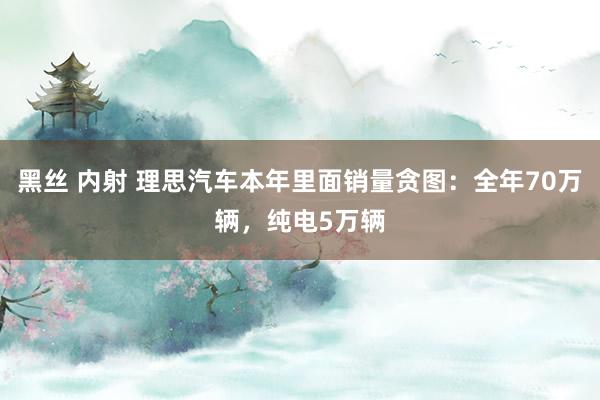 黑丝 内射 理思汽车本年里面销量贪图：全年70万辆，纯电5万辆