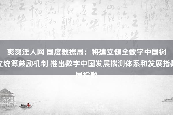 爽爽淫人网 国度数据局：将建立健全数字中国树立统筹鼓励机制 推出数字中国发展揣测体系和发展指数