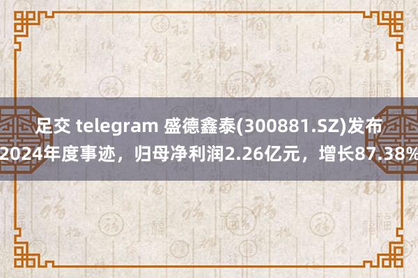 足交 telegram 盛德鑫泰(300881.SZ)发布2024年度事迹，归母净利润2.26亿元，增长87.38%