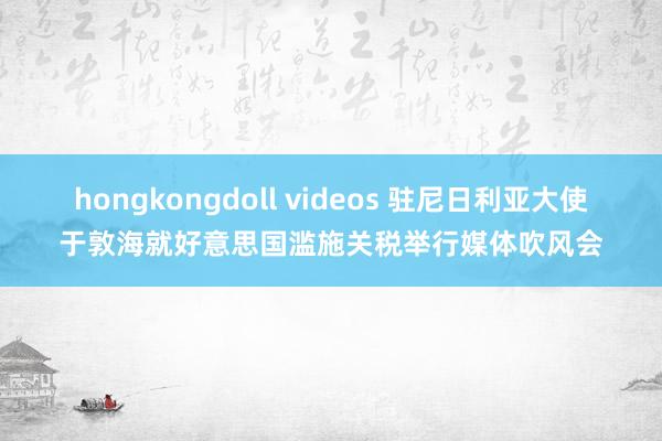 hongkongdoll videos 驻尼日利亚大使于敦海就好意思国滥施关税举行媒体吹风会
