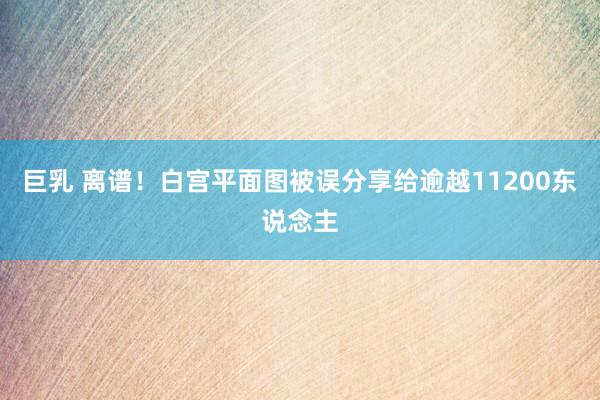 巨乳 离谱！白宫平面图被误分享给逾越11200东说念主