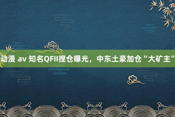 动漫 av 知名QFII捏仓曝光，中东土豪加仓“大矿主”
