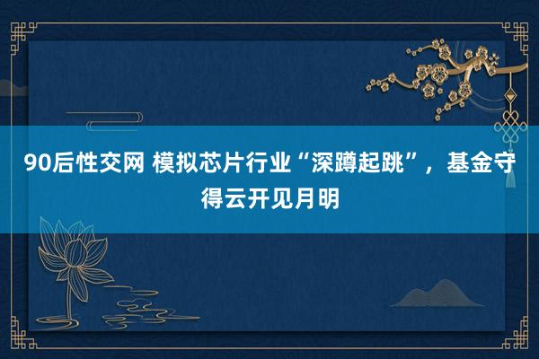 90后性交网 模拟芯片行业“深蹲起跳”，基金守得云开见月明