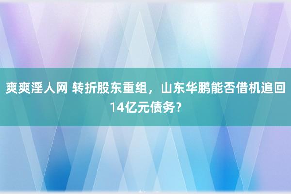 爽爽淫人网 转折股东重组，山东华鹏能否借机追回14亿元债务？