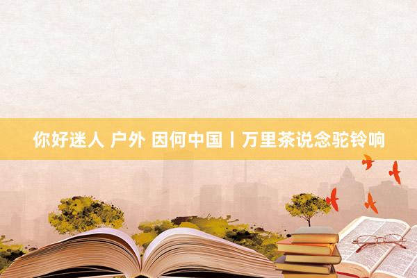 你好迷人 户外 因何中国丨万里茶说念驼铃响