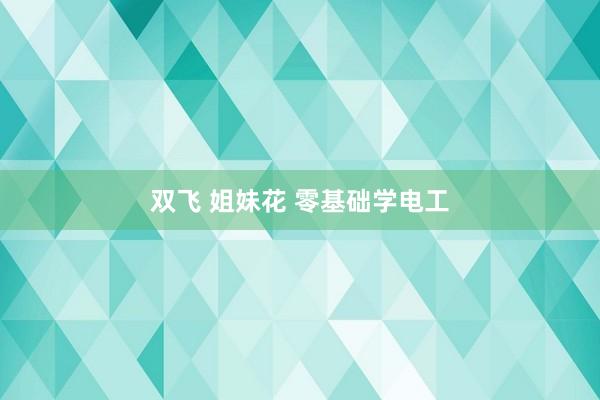 双飞 姐妹花 零基础学电工